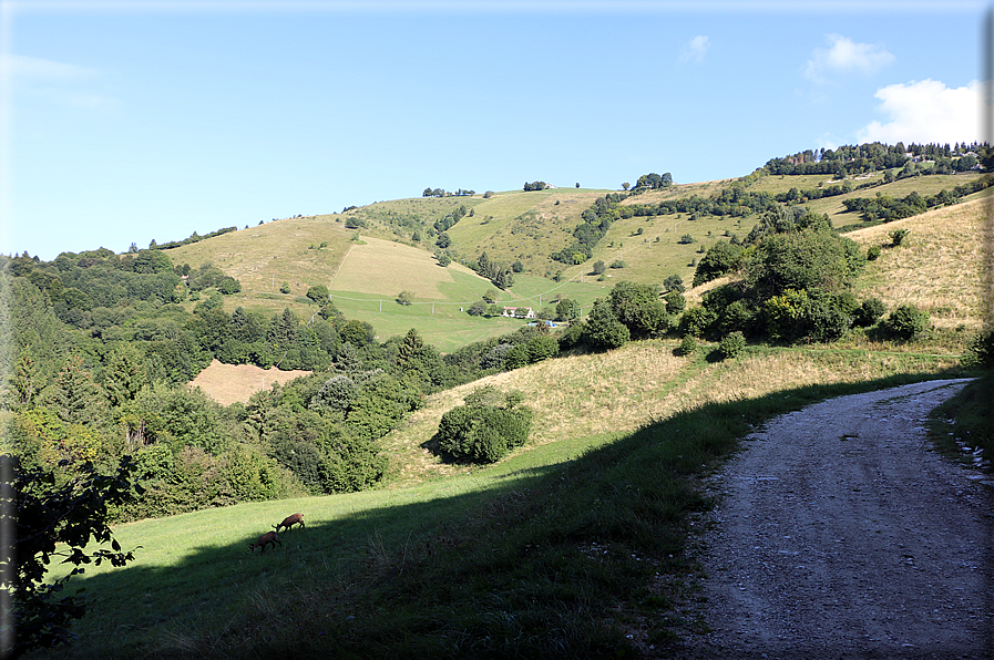 foto Strada delle Penise